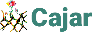 1771001666571 ca72d63c d426 46c0 8067 12cf7df42051 cajar