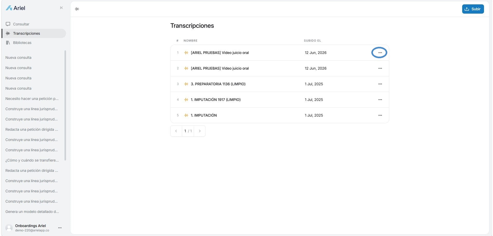 Abrir la transcripción generada