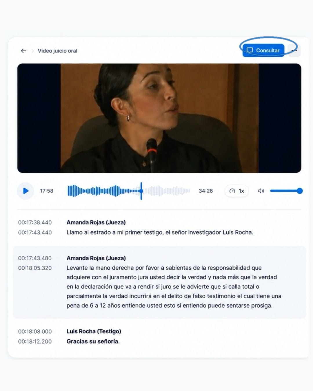 Botón Consultar sobre la transcripción