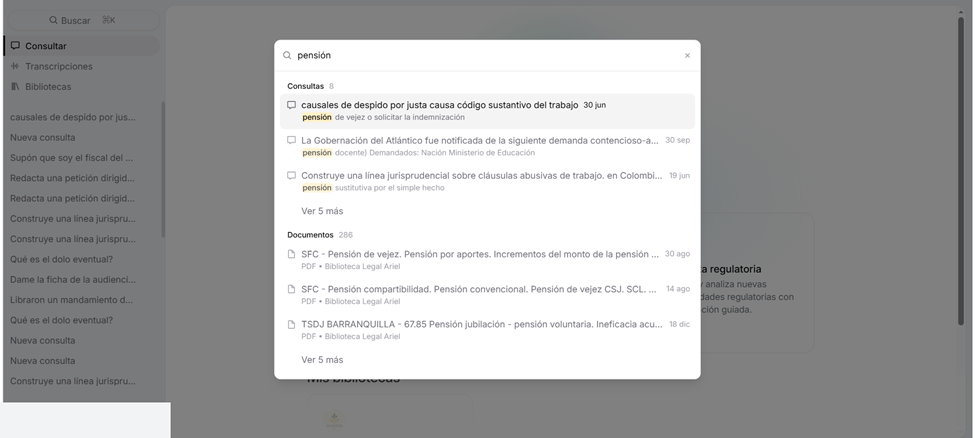 Resultados agrupados en Consultas y Documentos